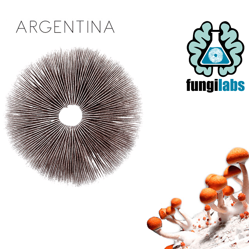 Argentina Espora