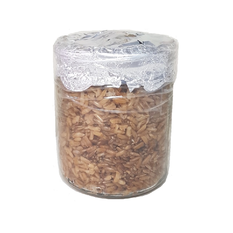Mushjar 500cc grano integral estéril