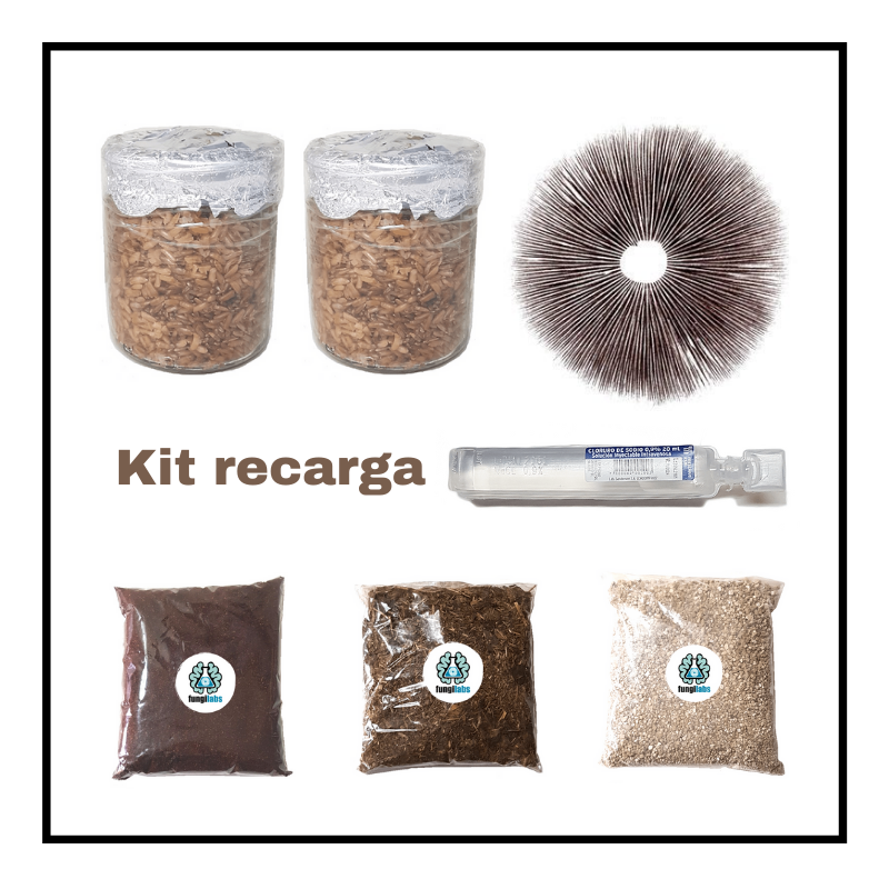 Kit recarga