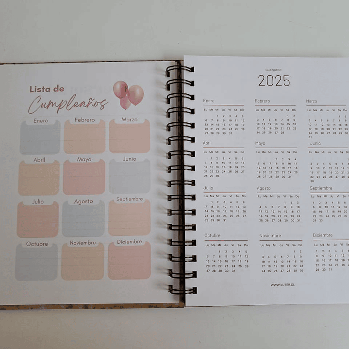 Cuaderno León Geométrico 7