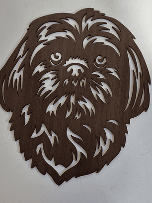 Shih Tzu cafe