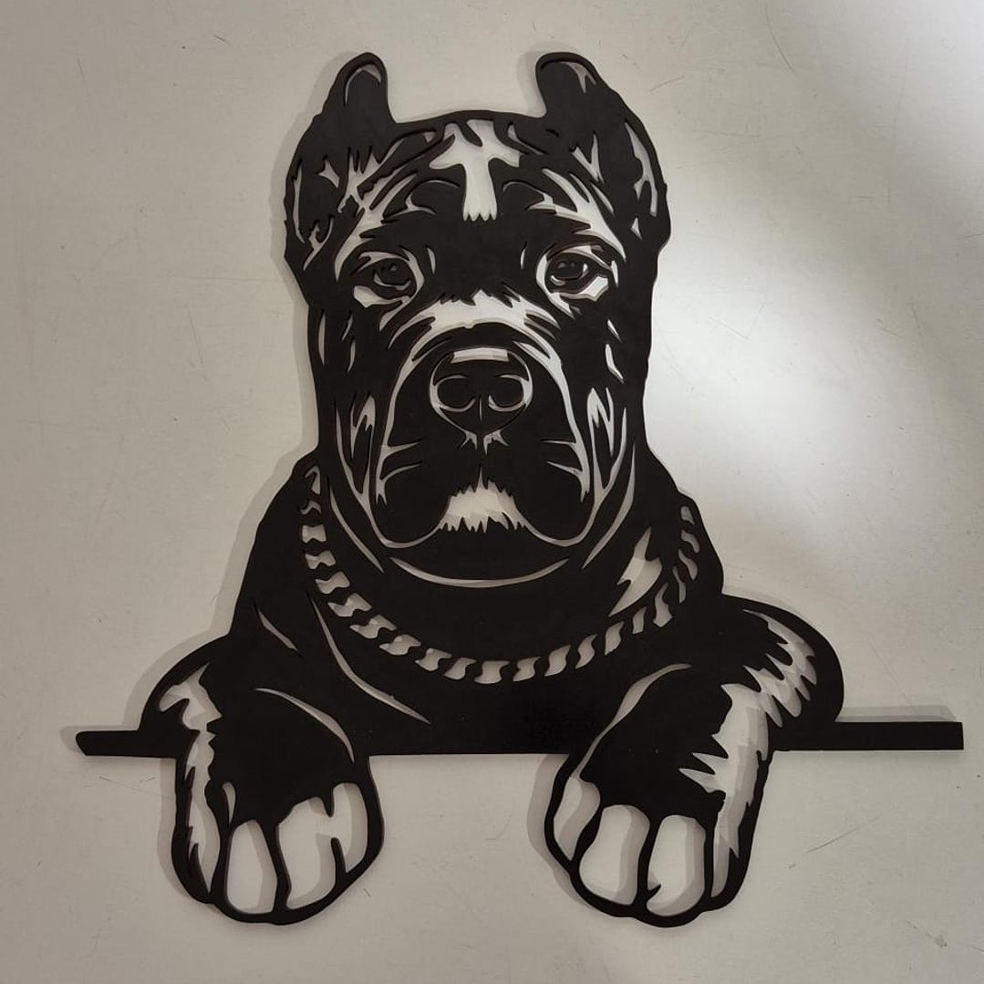 Cane Corso 1