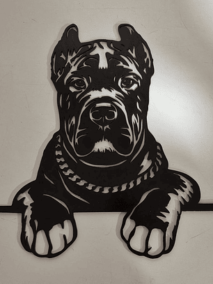 Cane Corso
