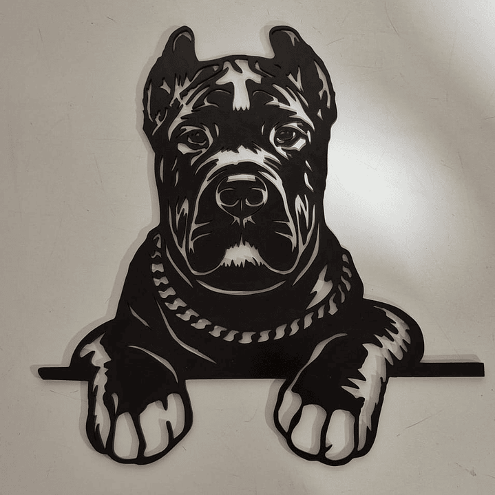 Cane Corso 1