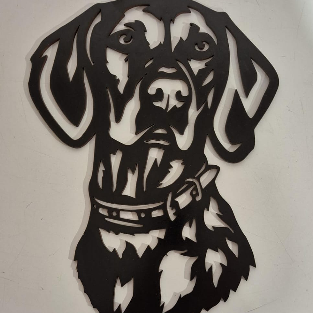 Braco Alemán {pelo corto} 1