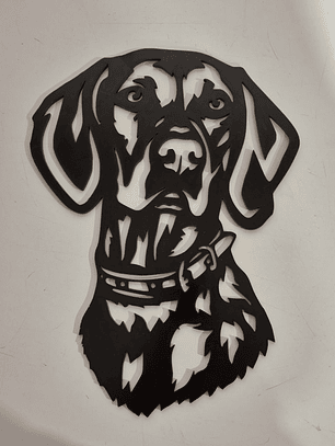 Braco Alemán {pelo corto}