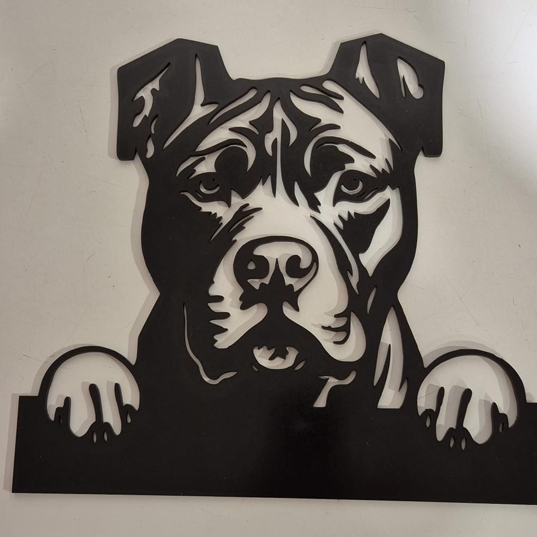 Pitbull oreja sin cortar 1