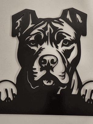 Pitbull oreja sin cortar