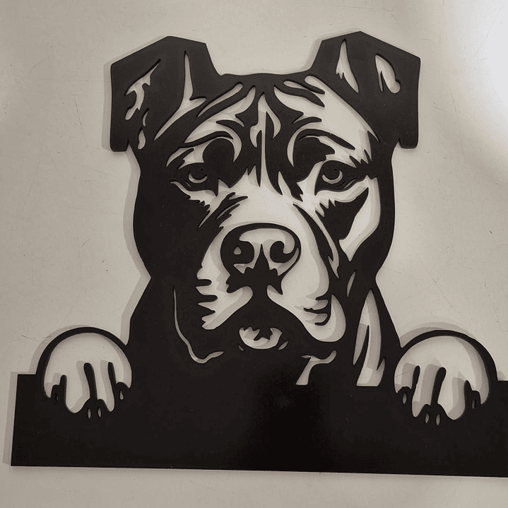 Pitbull oreja sin cortar 1