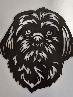 Shih Tzu negro