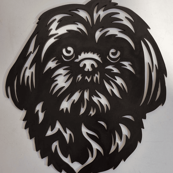 Shih Tzu negro 1