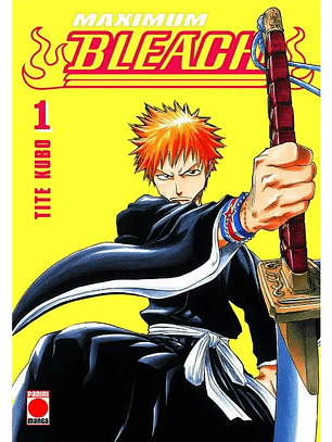 Bleach (Edición Maximum) 01