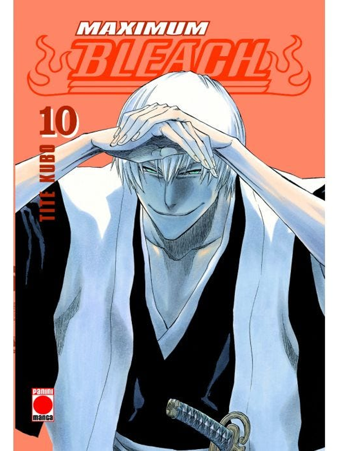 [RESERVA] Bleach (Edición Maximum) 10 1