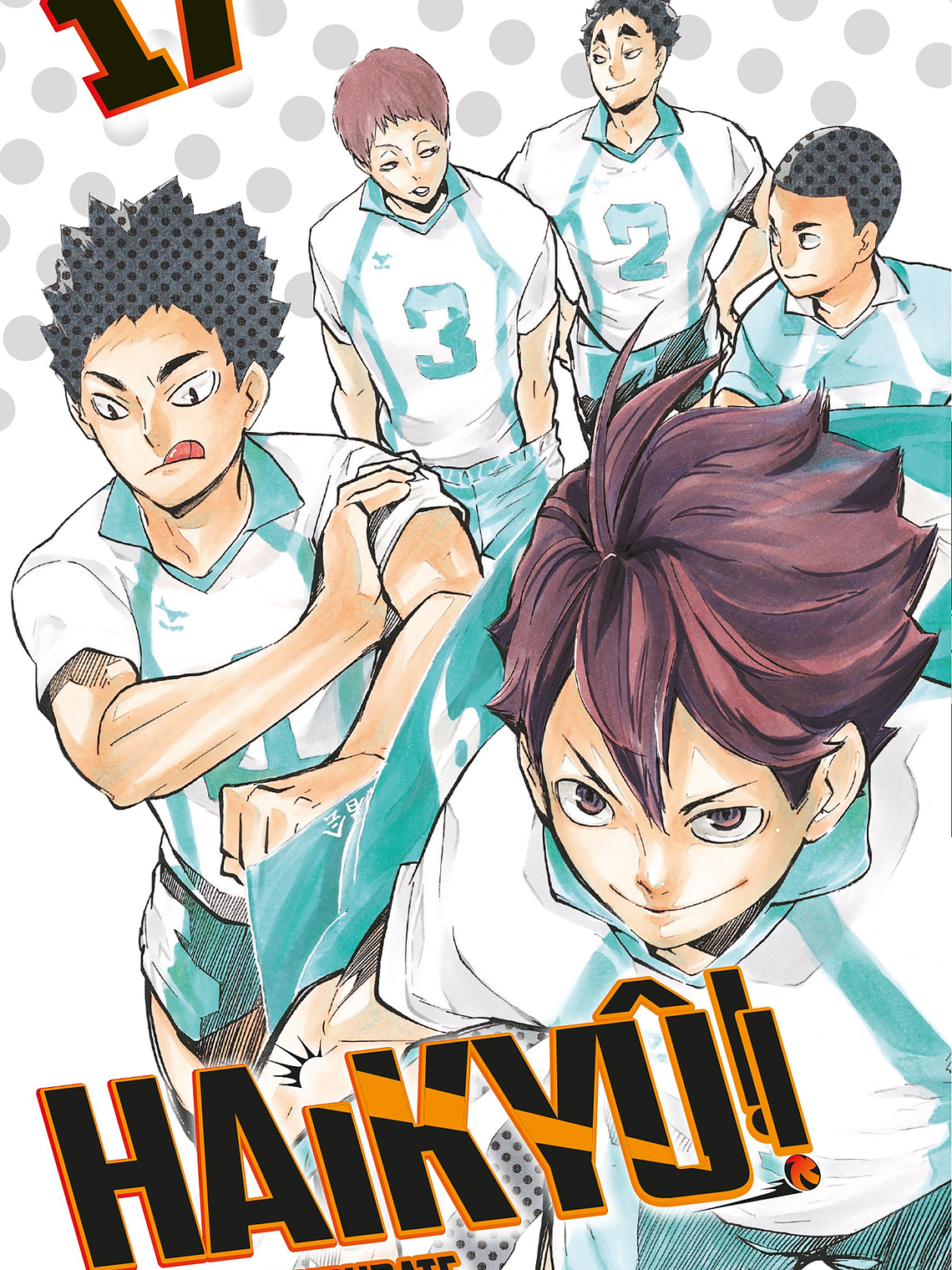 [RESERVA] Haikyu!! 17 1