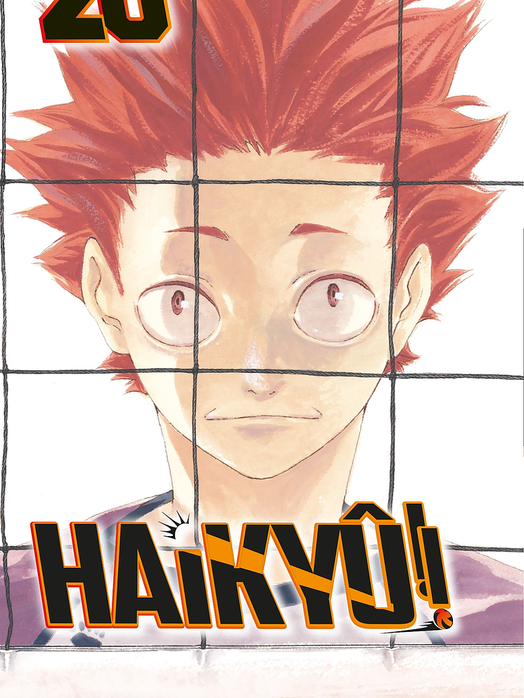 [RESERVA] Haikyu!! 20 1