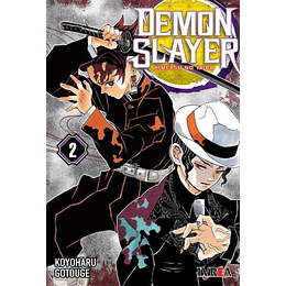 Demon Slayer: Kimetsu No Yaiba 02