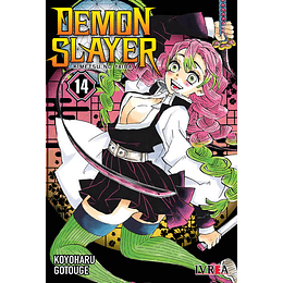 Demon Slayer: Kimetsu No Yaiba 14