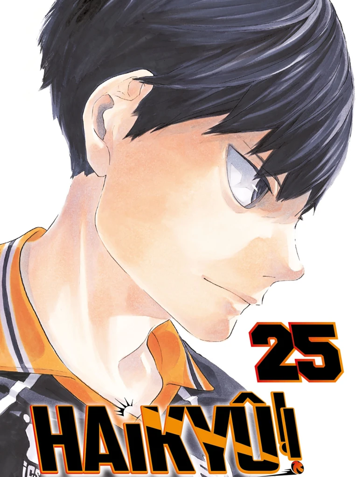 [RESERVA] Haikyu!! 25 1