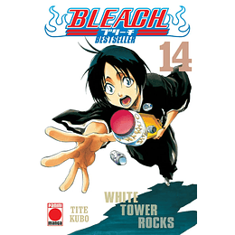 [RESERVA] Bleach: Bestseller 14