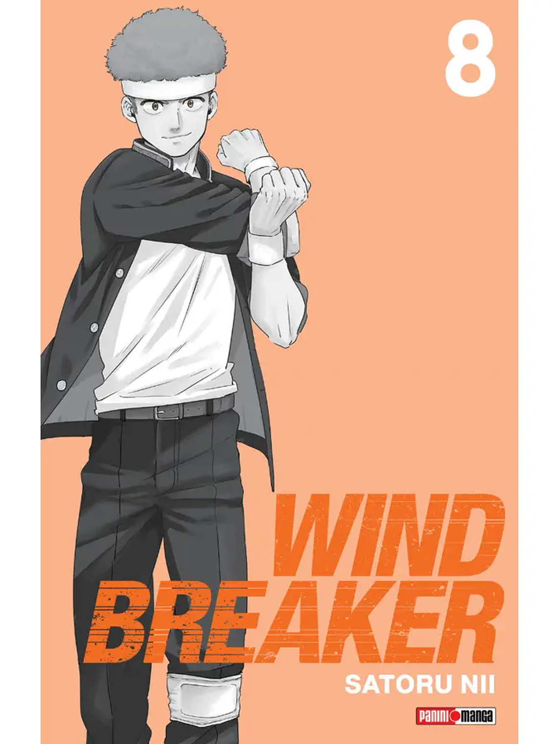 [RESERVA] Wind Breaker 08 1