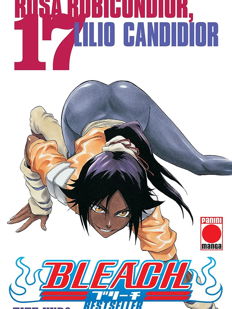 [RESERVA] Bleach: Bestseller 17 1