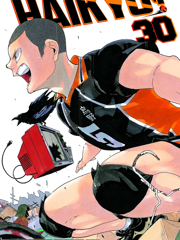 [RESERVA] Haikyu!! 30 1
