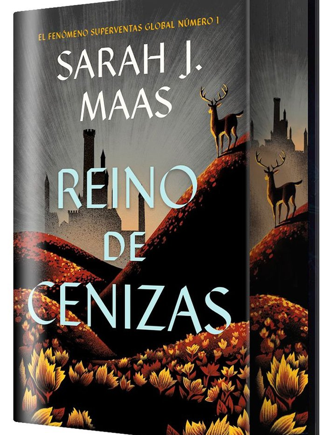 [RESERVA] Reino de Cenizas Edición Especial (Saga Trono de Cristal 07) 1