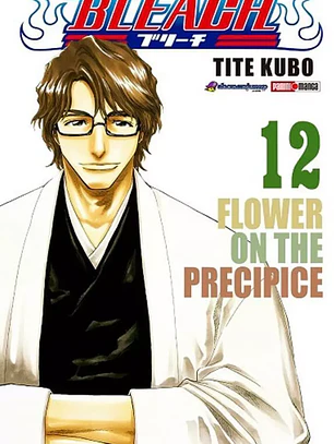 [RESERVA] Bleach 12