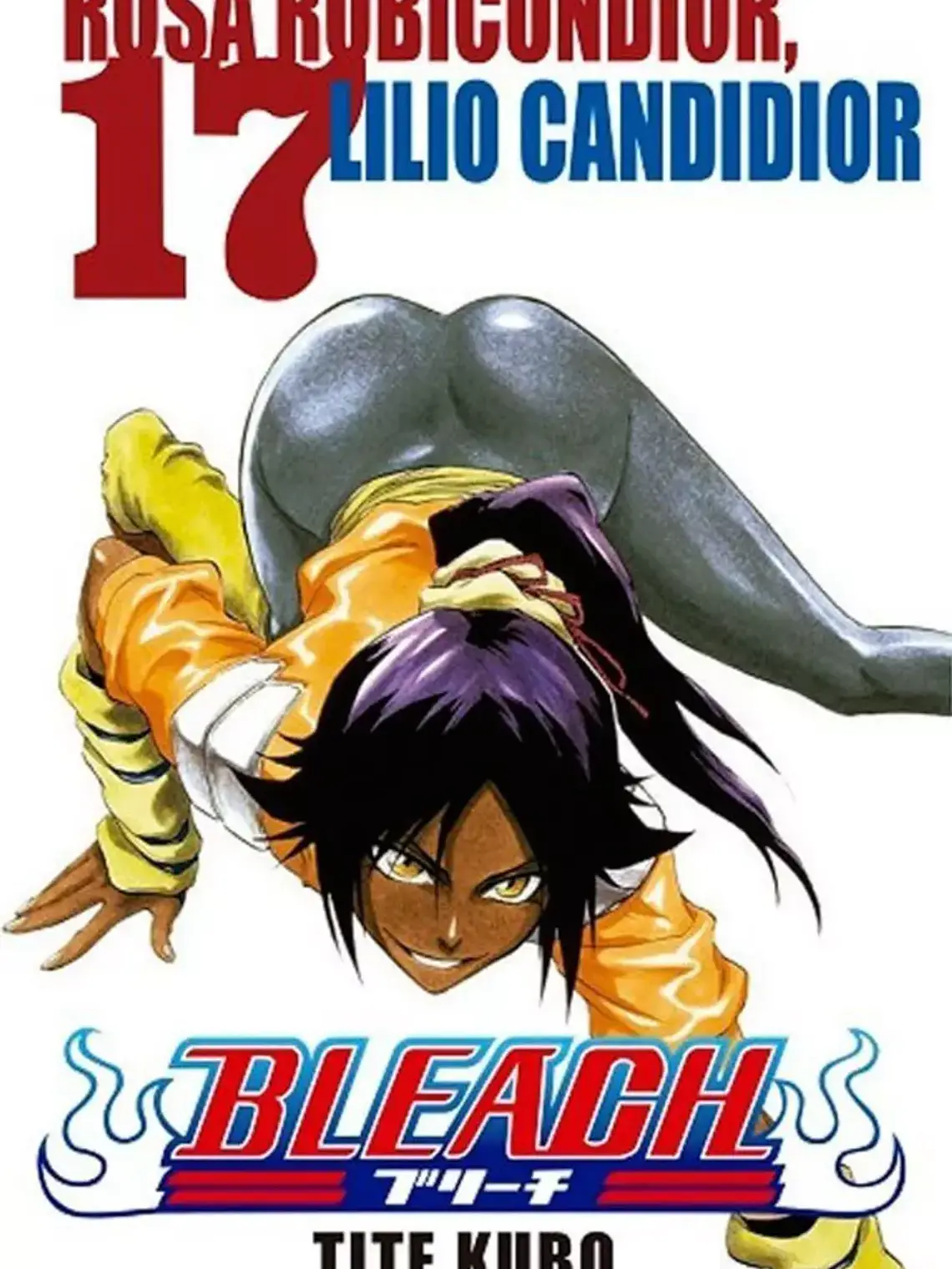 [RESERVA] Bleach 17 1