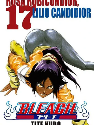 [RESERVA] Bleach 17