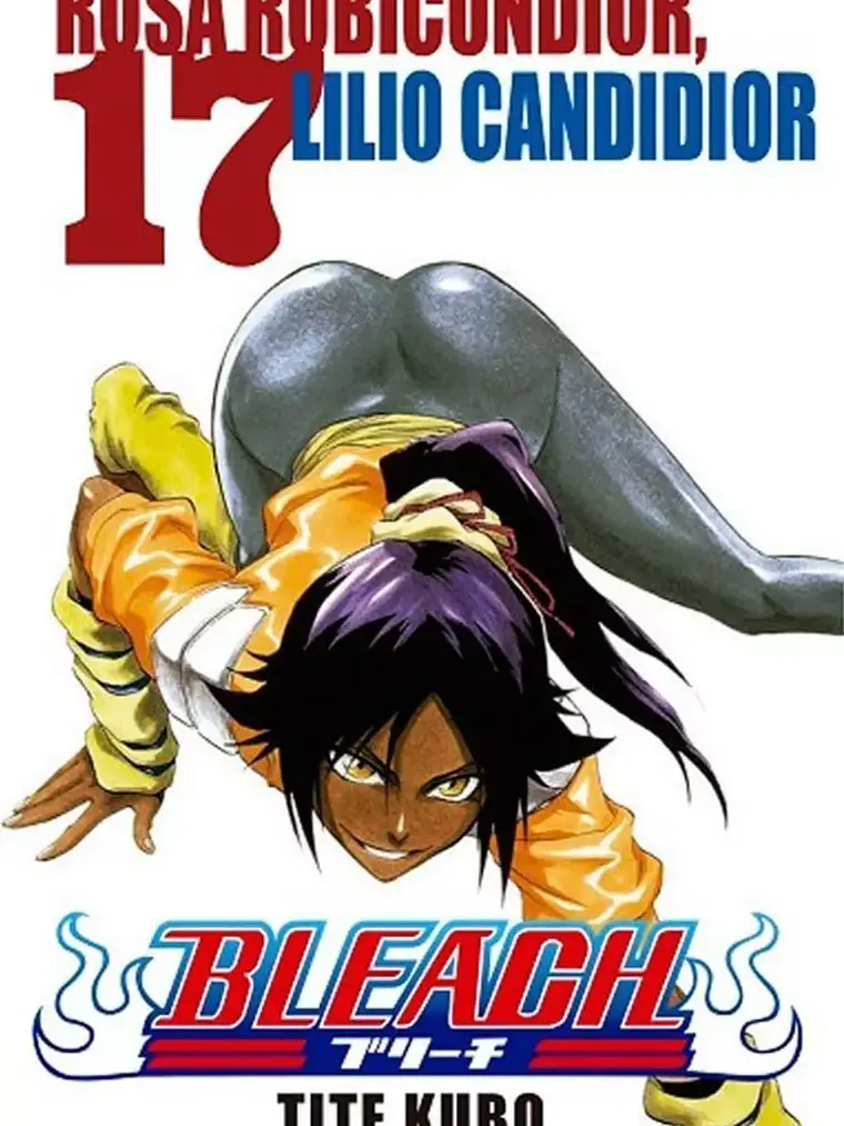 [RESERVA] Bleach 17 1
