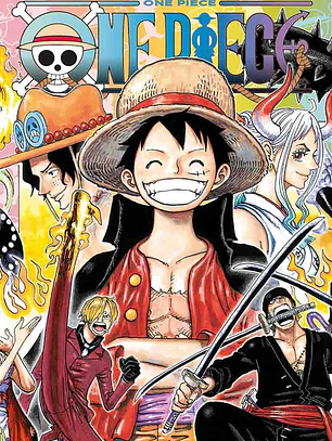[RESERVA] One Piece 100