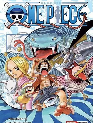 [RESERVA] One Piece 29
