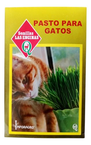 Semillas Hierba Gatera Pasto Para Gatos 4
