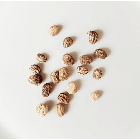 Semillas Capuchinas Doble Jardineria 2