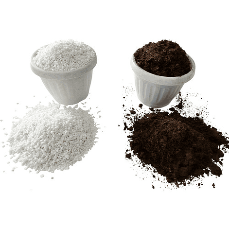 Pack Cultivo Turba Más Perlita 2 Lts 1