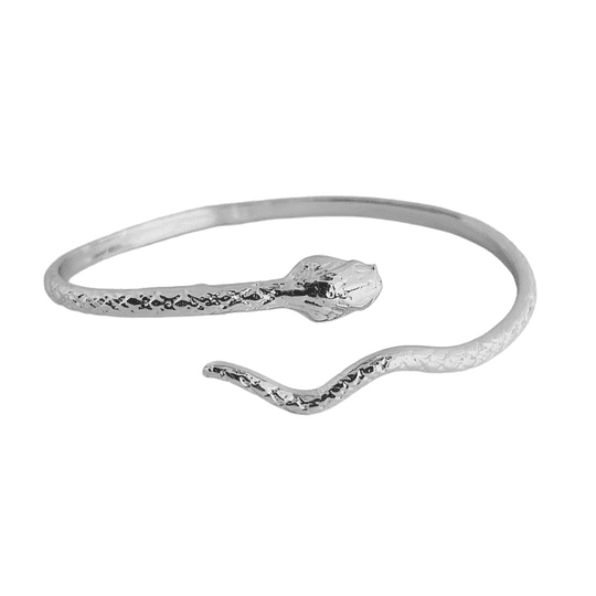 PULSERA ESCLAVA MEDUSA SILVER