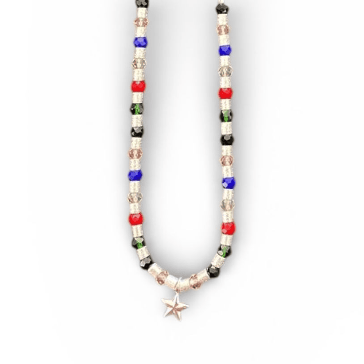 COLLAR IVY COLORS SILVER STAR  3