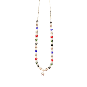 COLLAR IVY COLORS SILVER STAR 