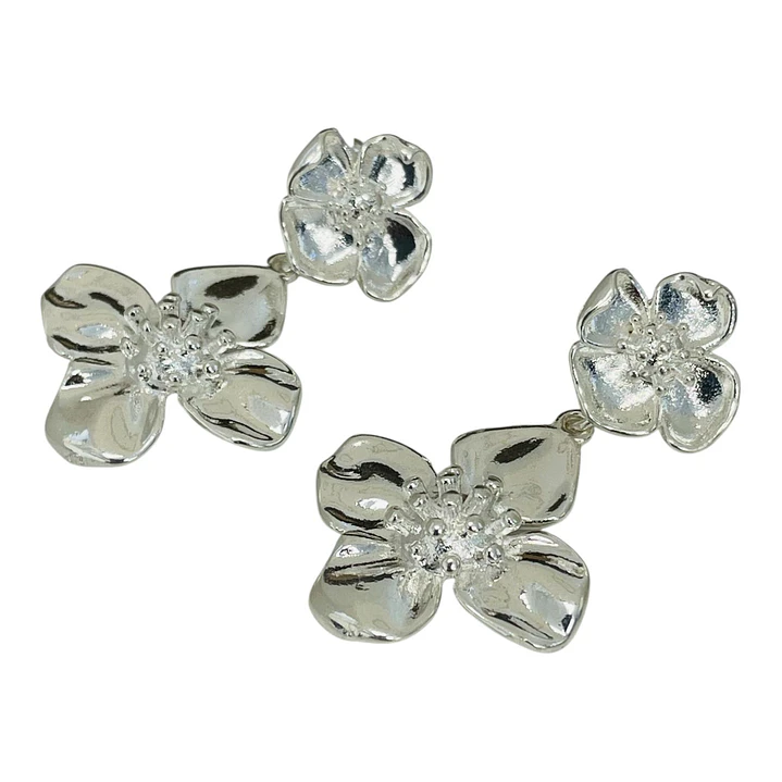 AROS LUCETTE SILVER 1