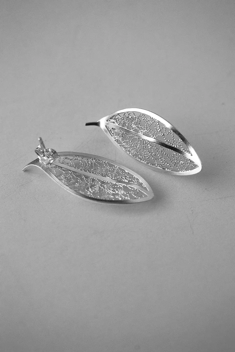 Colección Nothofagus 2