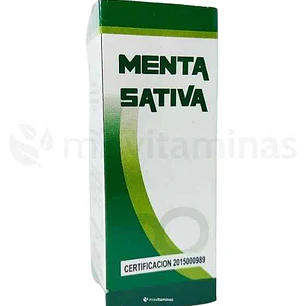 Menta Sativa