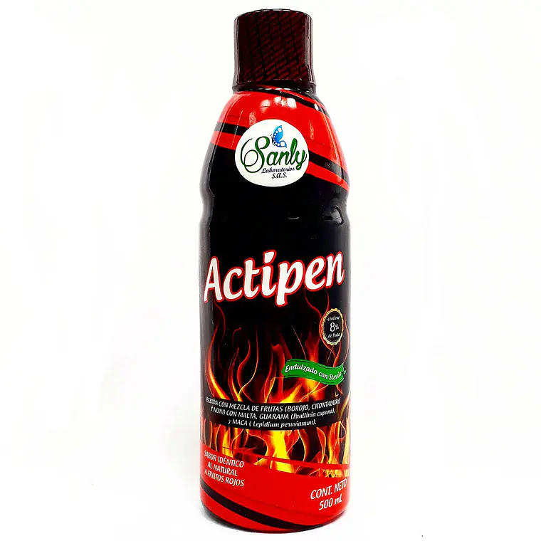 Actipen Sanly 500 ml 1
