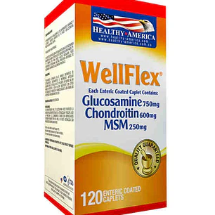 Well Flex 120 Tabletas Healthy America