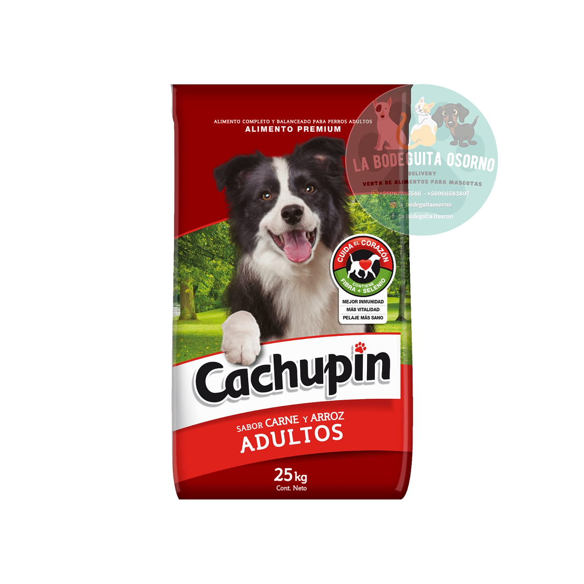 Cachupin Carne Adulto 25 kg