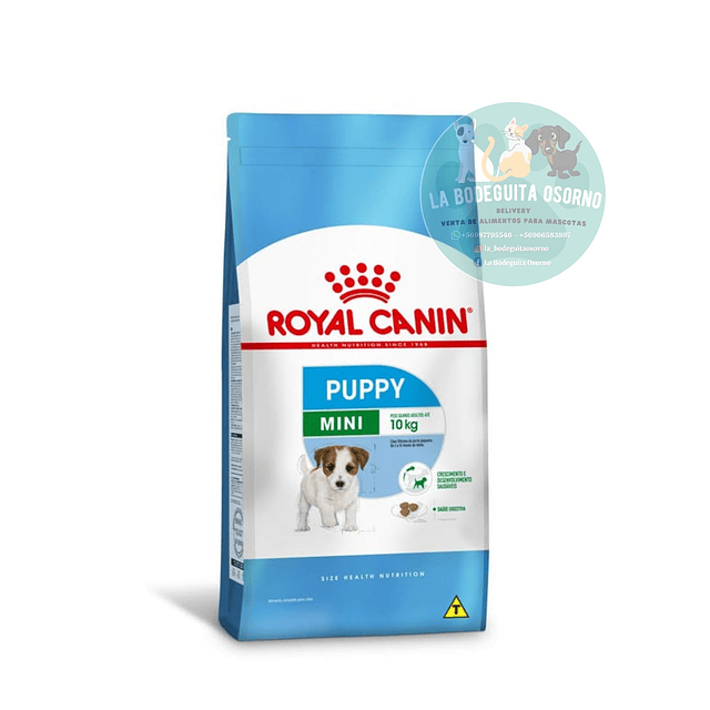Royal Canin Cachorro Mini