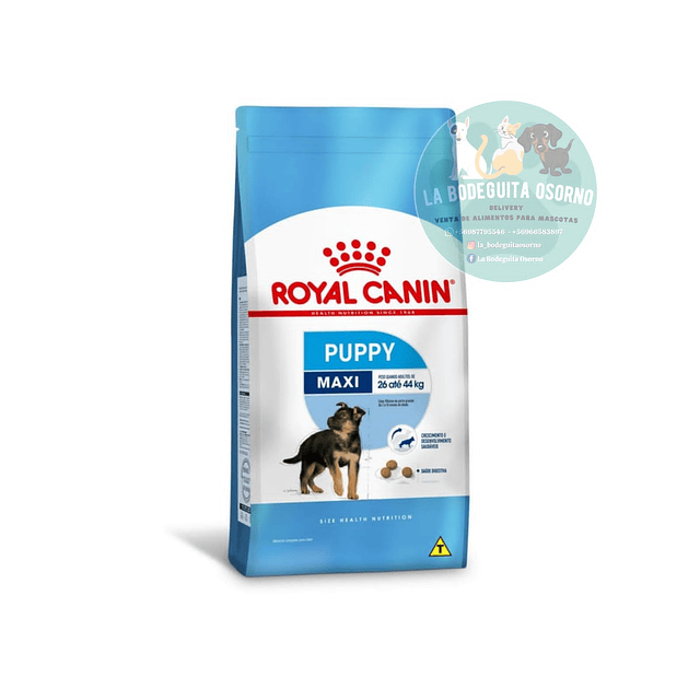 Royal Canin Cachorro Raza Grande 15 kg