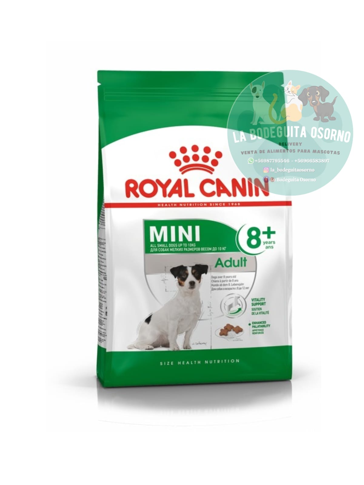 Royal Canin Dog Senior Mini 2,5 kg