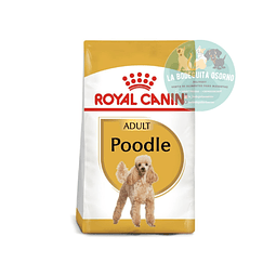 Royal Canin Perro Adulto Poodle