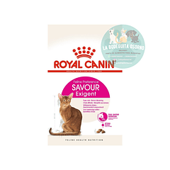 Royal Canin Gato Exigent